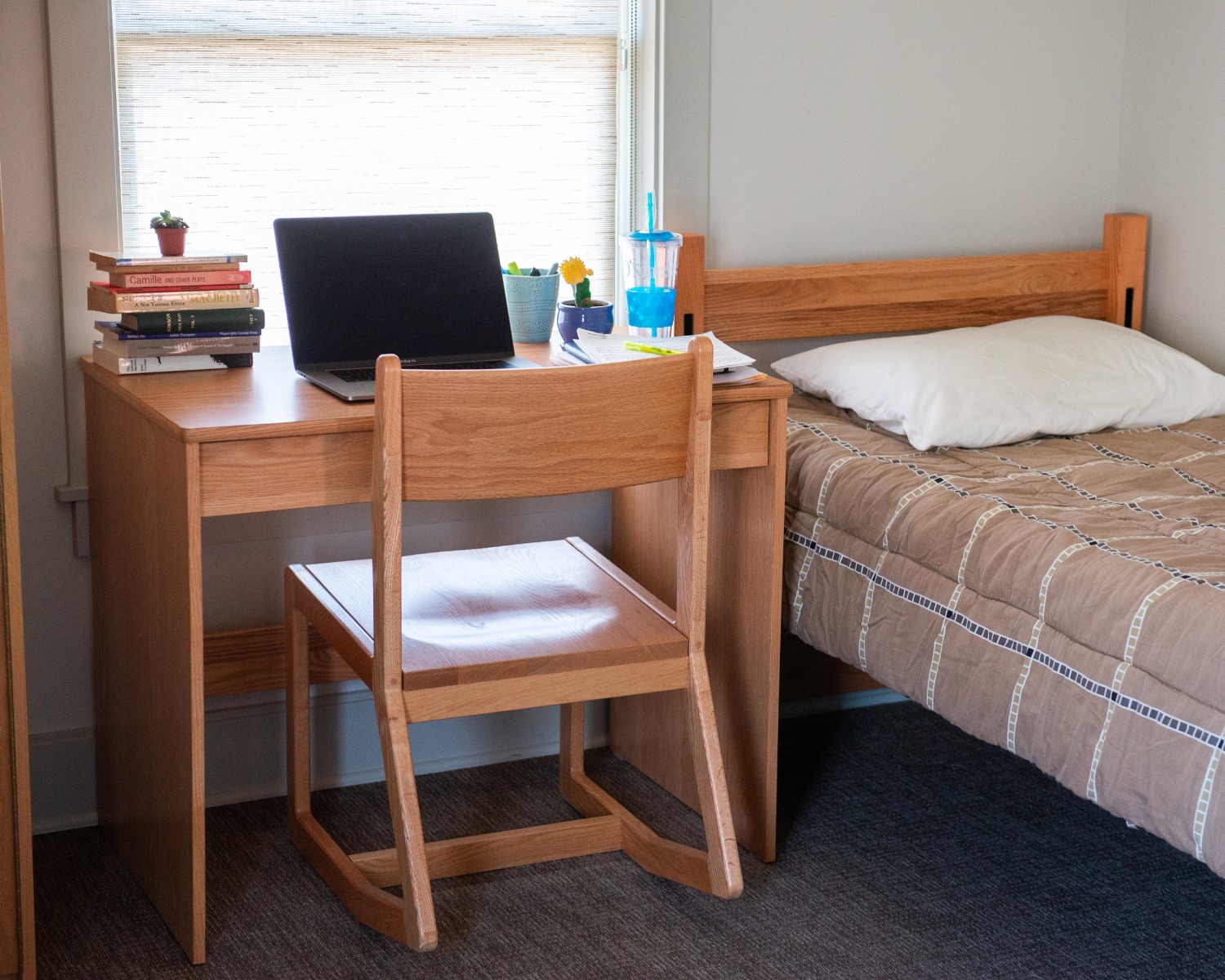 Community program hero